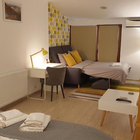 Fagaras Cosy Flat Villa Kültér fotó