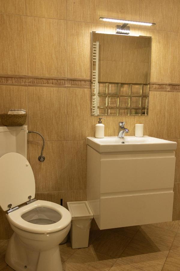 Fagaras Cosy Flat Villa Kültér fotó